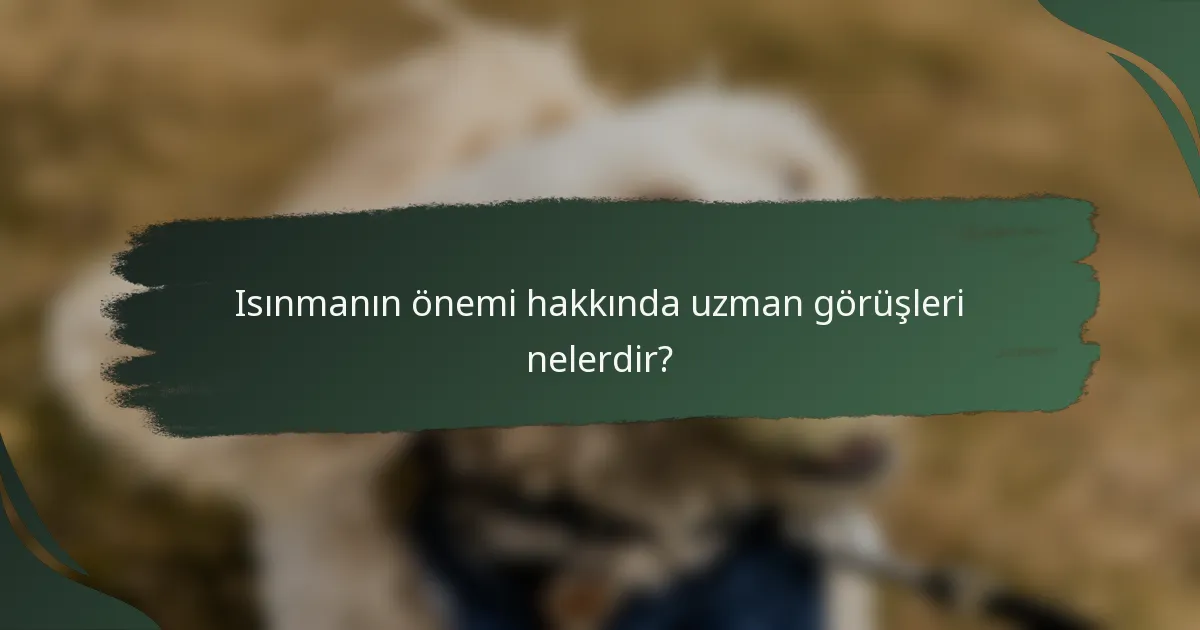 Isınmanın önemi hakkında uzman görüşleri nelerdir?
