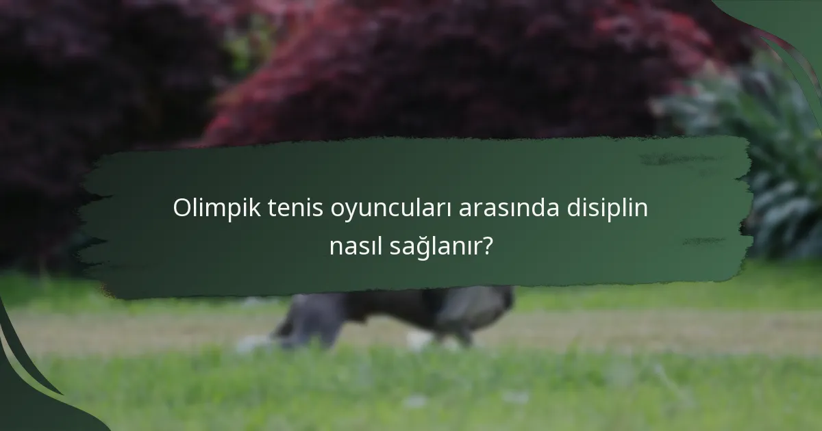 Olimpik tenis oyuncuları arasında disiplin nasıl sağlanır?