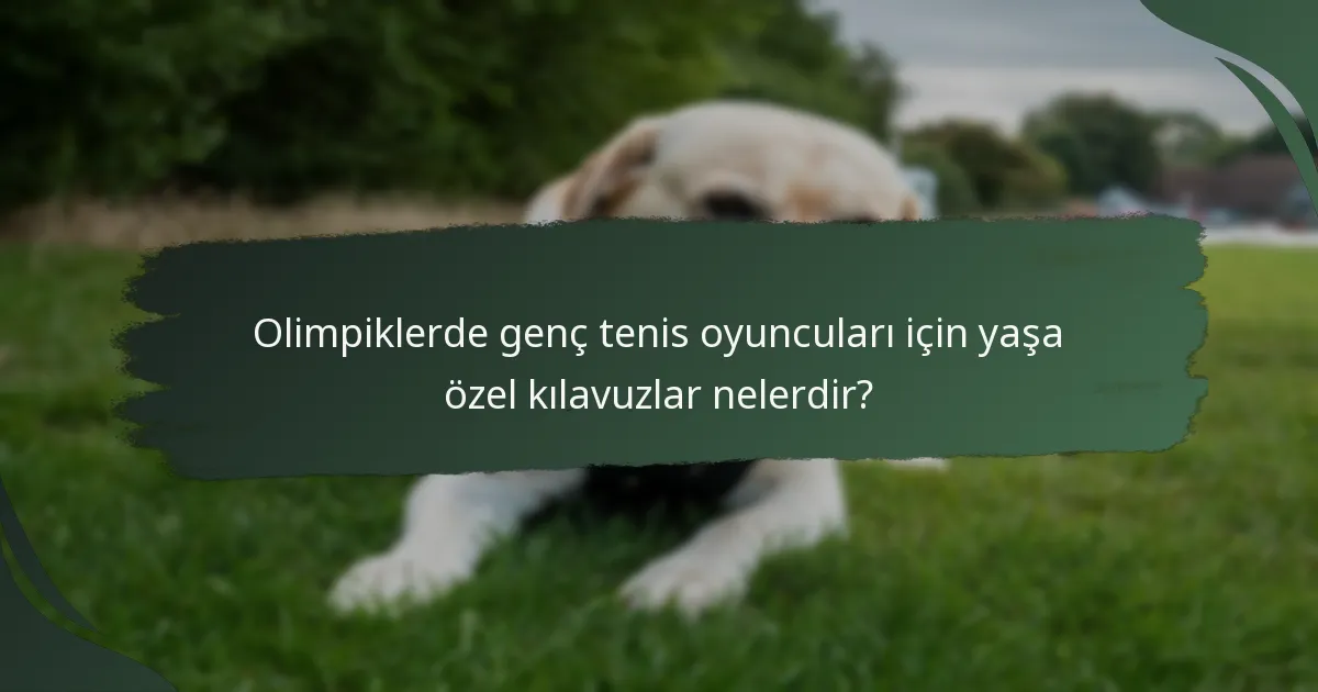 Olimpiklerde genç tenis oyuncuları için yaşa özel kılavuzlar nelerdir?