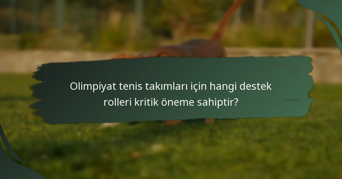 Olimpiyat tenis takımları için hangi destek rolleri kritik öneme sahiptir?