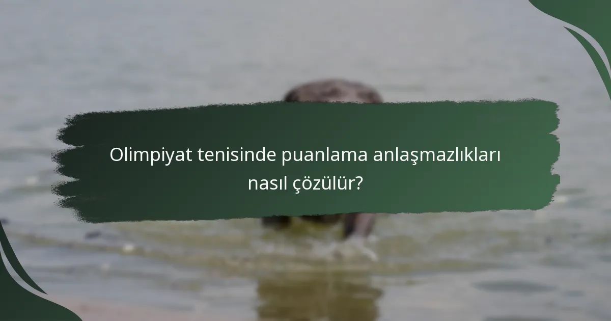 Olimpiyat tenisinde puanlama anlaşmazlıkları nasıl çözülür?